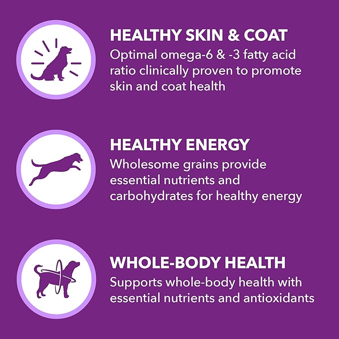 IAMS Advanced Health Skin & Coat Adult Dry Dog Food Chicken and Salmon Recipe, 36 lb. Bag-Mewly Pet