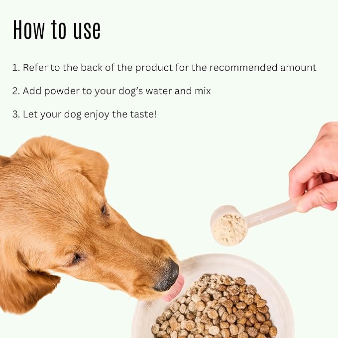 K9 Power Go Dog Hydration & Performance Drink Mix 1 lb - Active Dog Supplement for Muscle Function, Endurance, Recovery, with Electrolytes Support - Pack of 2-Mewly Pet