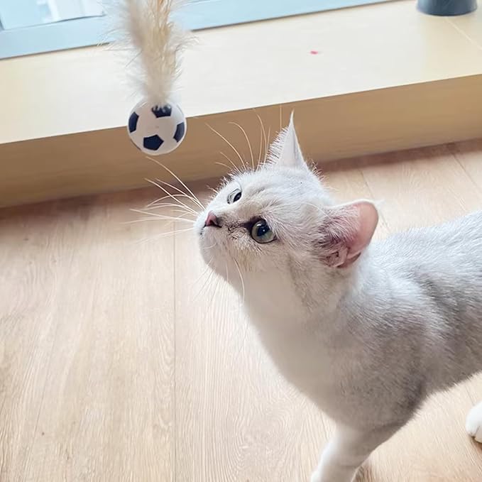 Cat Toy Balls, 5 PCS Colorful Feather Bouncy Balls for Cats No Noise Interactive Kitten Toys Cat Exercise Ball, Safe for Your Kitty (B)-Mewly Pet