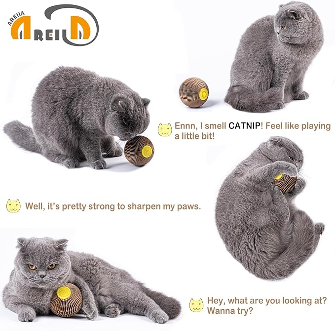 AREIIA Catnip Ball Toy for Cats Catnip Refillable Scratcher Ball Kitty's Faithful Playmate Reduce Obesity and Loneliness CSB01BR-Mewly Pet