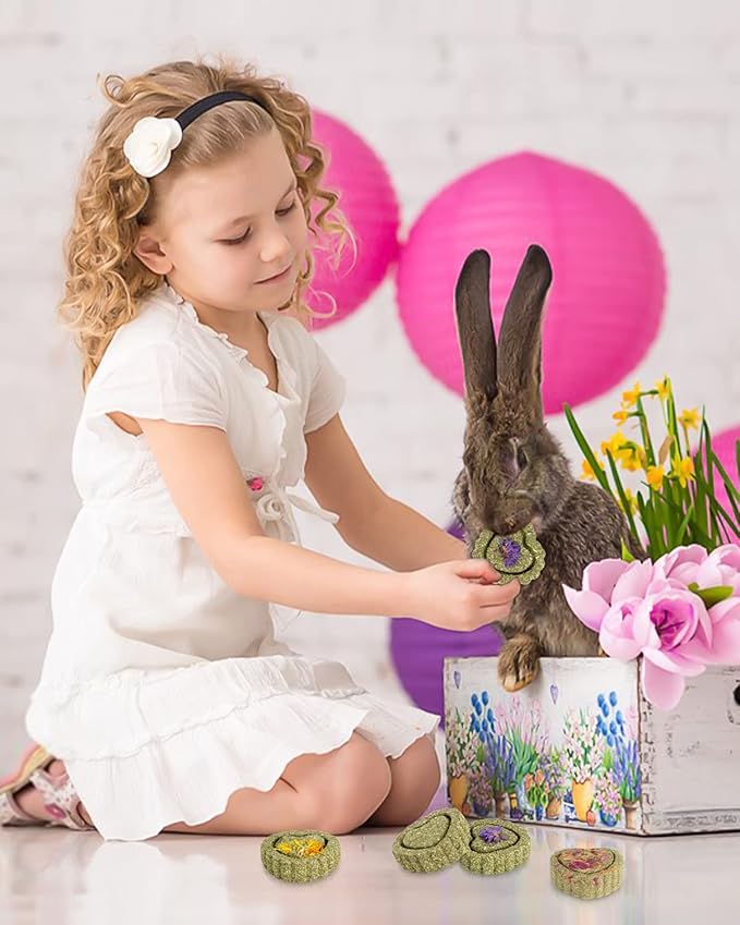 Sofier 28Pcs Timothy Hay Treats Rabbit Toys Bunny Toys Guinea Pig Natural Handmade Treats and Chews for Small Animals Hamster Chinchilla Rat Gerbil-Mewly Pet