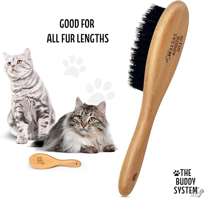 The Buddy System Cat Brush with Boar Bristle and Wooden Handle, Professional Grade Daily Grooming Hairbrush, Reduce Shedding, Soft Hair and Healthy Shine (1 Pack)-Mewly Pet