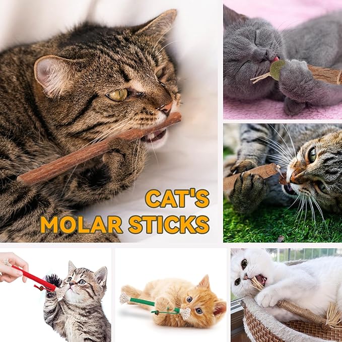 Cat Toys Cat Chew Toys, Silvervine Sticks Catnip Rope Toys for Cats Teeth Cleaning, Kitten Dental Care, Kitty for Indoor Cats Increase Appetite,Enhances Oral & Dental Health (20 Pack)-Mewly Pet