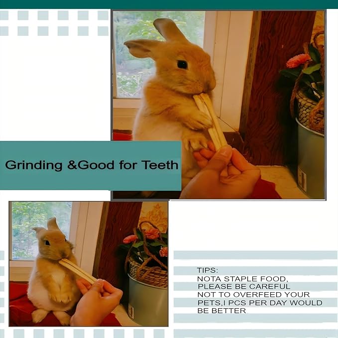 300g Snacks Sweet Bamboo Chew Toy for Rabbits Chew Sticks for Hamster Chinchilla Guinea Pig,Molar Treats Snack for Small Animals-Mewly Pet