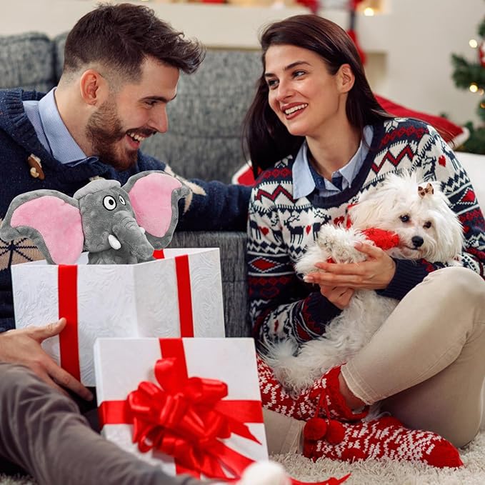 Plush Large Dog Toys with Squeaker and Crinkle Paper, Interactive Puppy Chew and Teeth Cleaning Toy, Pet Toys for Small, Medium and Large Dogs-Mewly Pet