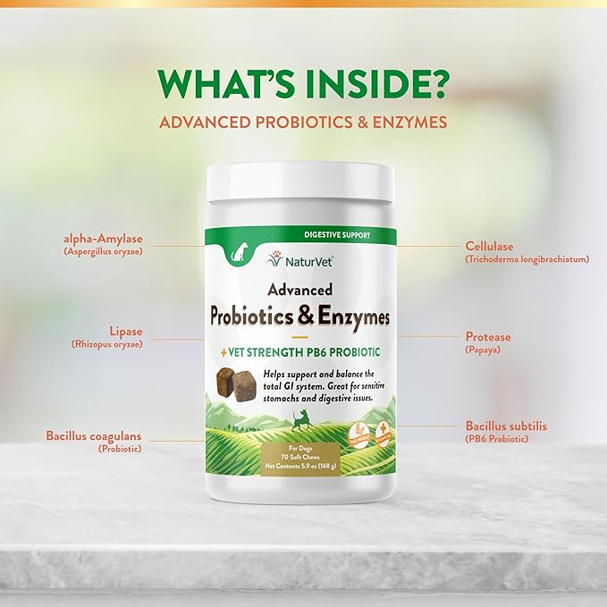 NaturVet Advanced Probiotics & Enzymes, PB6 Dog Soft Chews to Help Sensitive Stomachs and Digestive Issues, Hickory Smoked Bacon Flavored Pet Supplement for Dogs Over 6 Weeks, 70 Count Jar-Mewly Pet