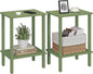 TUTOTAK End Table, Set of 2, Side Table, Nightstand, 2-Tier Storage Shelf, Sofa Table for Small Space, Living Room, Bed Room, Olive Green TB01BOG035