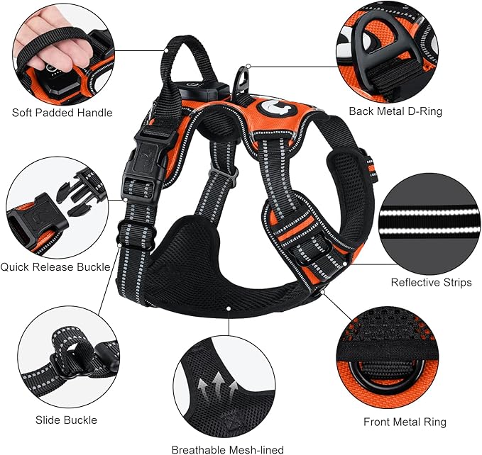 Taglory Light Up Dog Harness, Rechargeable No Pull Dog Vest with 3 Lightning Modes, Reflective Dog Harness with 2 Leash Clips & 4 Adjustable Slide Strips for Large Dogs, Orange-Orange, L-Mewly Pet