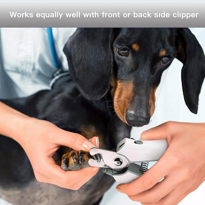 Type-C Rechargeable Dog & Cat Nail Clippers - LED Pet Nail Trimmer with Built-in Nail File, Extra Sharp Blades for Small & Medium Dogs, Indoor Cats (White-Gray)-Mewly Pet