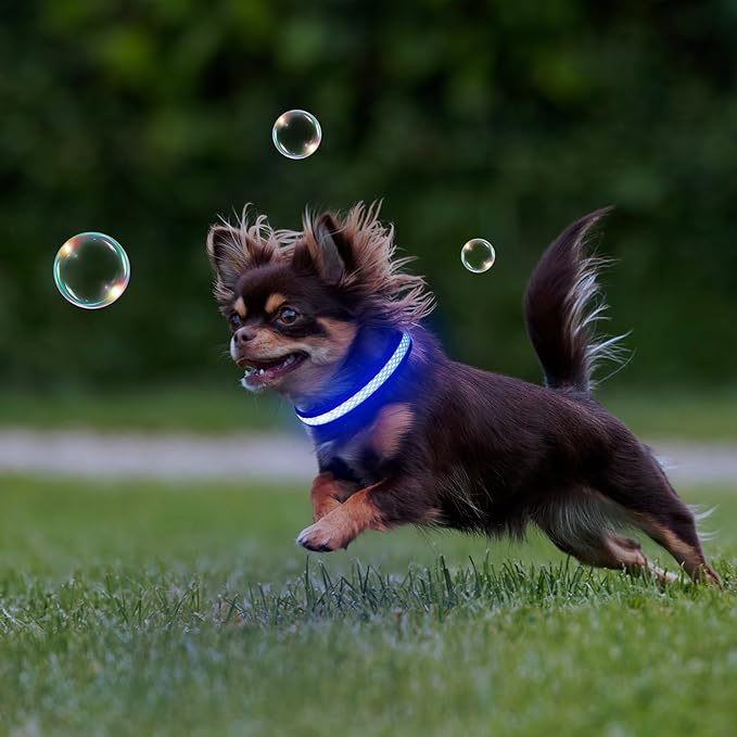 Flashseen LED Cat Collar,Light Up Dog Collar Rechargeable, Dog Lights for Night Walking, Comfortable Soft Mesh Pet Collar Adjustable for Cats Puppy and Small Dogs(Blue, XS)-Mewly Pet