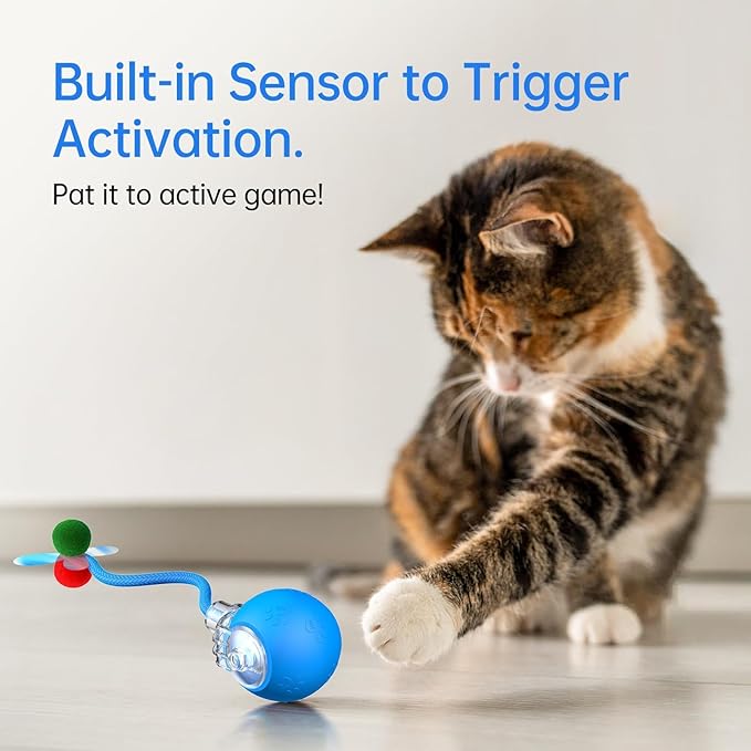 Interactive Cat Toys for Indoor Cats - Kitten Toy with Speedy Tail 2.0, Automatic Cat Toys for Bored Indoor Adult Cats, Motion-Activated, 2025 New Upgraded, USB Rechargeable (Blue)-Mewly Pet