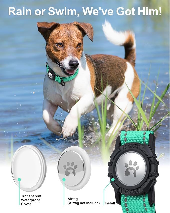 TagME Airtag Dog Collar,Waterproof Reflective Pet Collar with Airtag Holder,Soft Padded and Double D-Rings for Medium Dogs,Turquoise-Mewly Pet