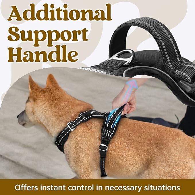 rabbitgoo Dog Harness for Large Dogs, No Pull Pet Vest with 3 Buckles, Adjustable Soft Padded Pet Harness with Easy Control Handle and Reflective Strips, Black, L-Mewly Pet