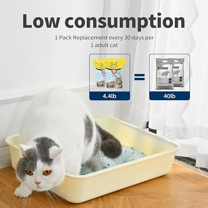 Cat Litter Crystals No Clumping Odor Control Kitty Litter Non-Clumping No scooping Low Dust, Low Tracking, Dehydrates Waste - 8.6 lbs (2 x 4.3 lb Packs)-Mewly Pet