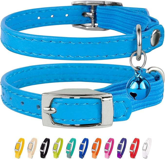 CollarDirect Leather Cat Collar, Kitten Collar with Removable Bell Black Blue Red Orange Lime Green (6-7 Inch, Light Blue)-Mewly Pet
