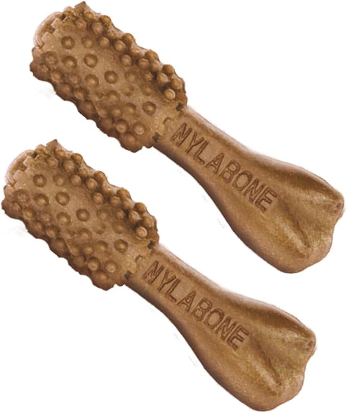 Nylabone Nutri Dent Dog Dental Chews - Natural Dog Teeth Cleaning & Breath Freshener - Dental Treats for Dogs - Filet Mignon Flavor, Mini (32 Count) (Pack of 2)-Mewly Pet