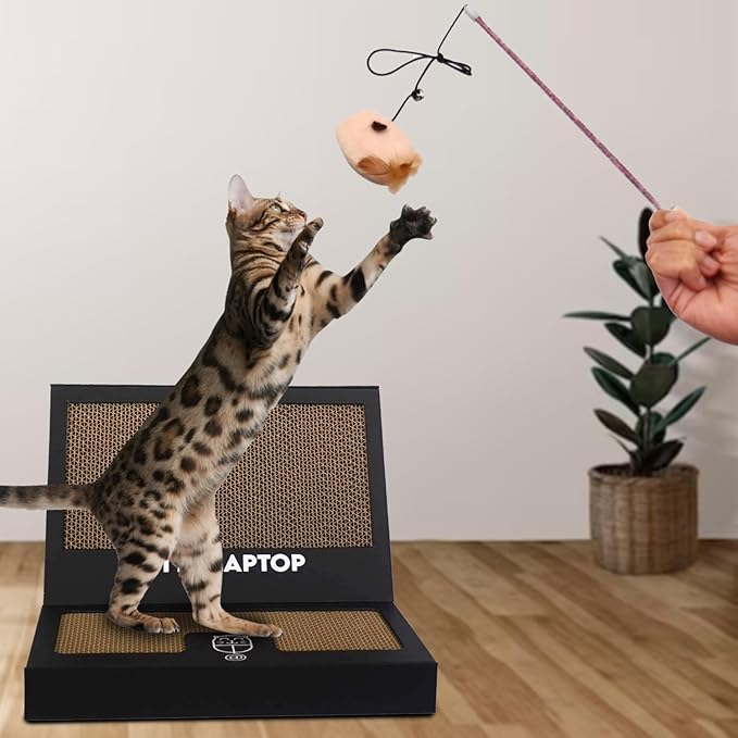 Toy Cat Laptop with 2 Scratchboards + Catnip Mouse Toy for Cats + 50pack Cat Sticker - Interactive Eco-Friendly Cat Computer with Scratch Pad Laptop for Cats - Mini Cat Laptop-Mewly Pet