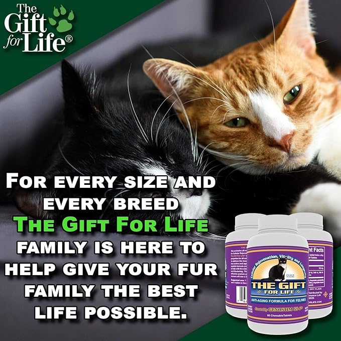 Feline Peptides, Peptides for Cats, Life Extending Cat Supplement, Immune Supplement, Joint Supplement, Skin and Coat Supplement for Cats, 60 Tablets-Mewly Pet