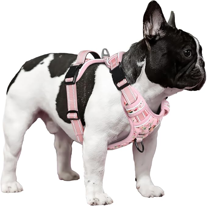 Timos Dog Harness, No-Pull Pet Harness with 2 Leash Clips, Adjustable Soft Padded Dog Vest, Reflective Outdoor Pet Oxford Vest with Easy Control Handle Pink XS-Mewly Pet