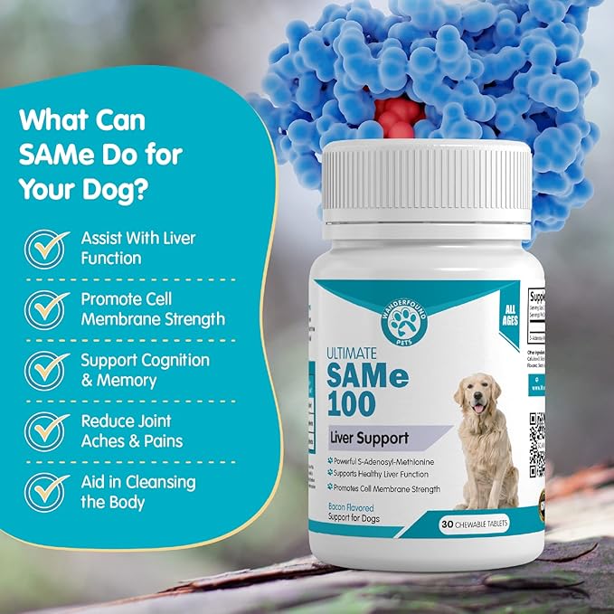Wanderfound Pets Same 100 Liver Support for Dogs - Same S-Adenosyl-L-Methionine Hepatic Supplement for Liver & Brain Support - Bacon Flavored Sam E, Manufactured in The USA - 30 Chewable Tablets-Mewly Pet