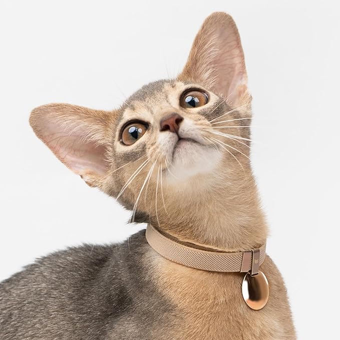 Safety Cat Collar - U.S. IDA Gold Awarding Design, Elastic Quick Release, Non Breakaway - Lightweight for Kitten, Neck Fit 5.9'-11.8' for All Small Large Cat,S(Sunshine)-Mewly Pet