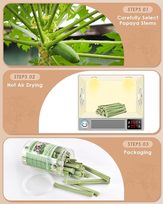 Bissap 50PCS Rabbit Chew Sticks, Natural Papaya Stems Bunny Chews Treats for Rabbits Hamsters Chinchillas Guinea Pigs Small Animals Organic Molar Chewing Snack-Mewly Pet