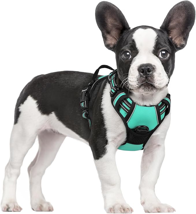 rabbitgoo Dog Harness No Pull with 2 Leash Clips, Adjustable Soft Padded, Reflective Oxford No Choke Pet Vest with Easy Control Handle for Small Dogs, Turquoise, S-Mewly Pet