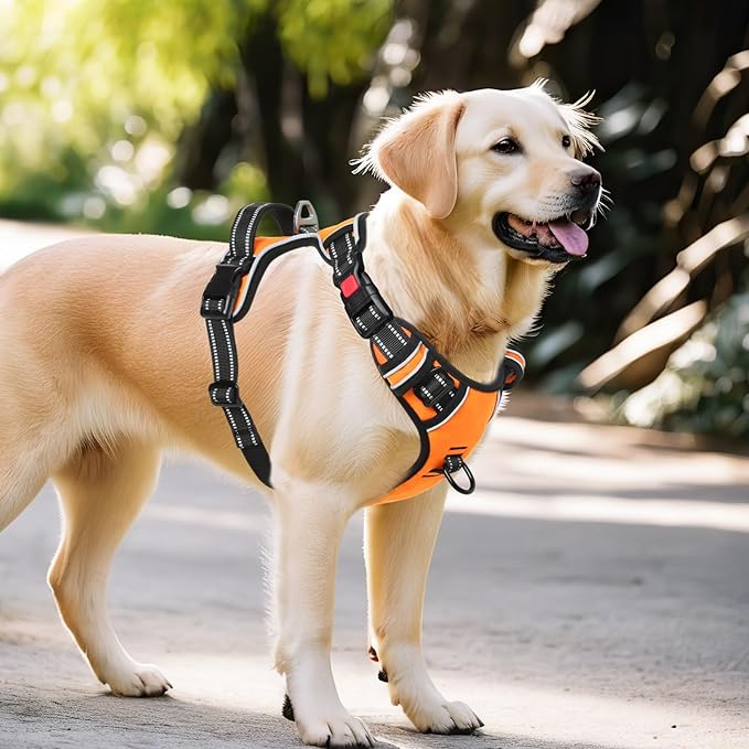 Timos Dog Harness Large Sized, No Pull with Neck Lockable Snap,No Choke Front Clip Dog Reflective Harness,Adjustable Metal Rings 3 Buckles,Easy Control Handle for Large Dogs Orange L-Mewly Pet