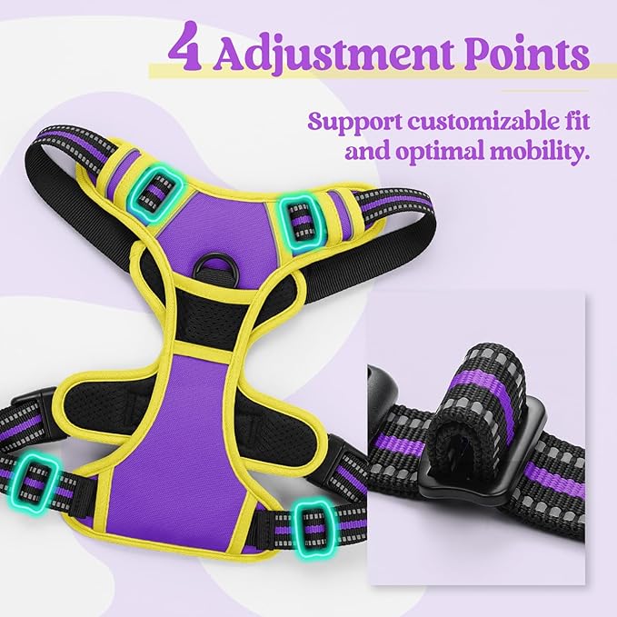 rabbitgoo Dog Harness No Pull with 2 Leash Clips, Adjustable Soft Padded, Reflective Oxford No Choke Pet Vest with Easy Control Handle for Large Dogs, Purple & Yellow, XL-Mewly Pet