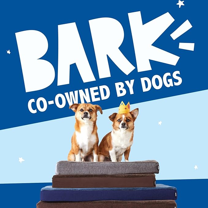 Barkbox Orthopedic Dog Bed with Memory Foam, Premium Comfort for Dogs and Puppies, Dog Beds for Joint Relief and Restful Sleep, Durable and Easy to Clean - Grey, Medium-Mewly Pet