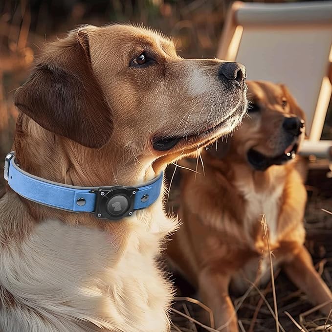 AirTag Dog Collar - Leather Dog Collar with Air Tag Holder | IPX8 Waterproof, Reflective, High - End, Adjustable Soft Padded | Dog GPS Tracker Collars Fit for Medium Large Dogs (Blue, XL)-Mewly Pet