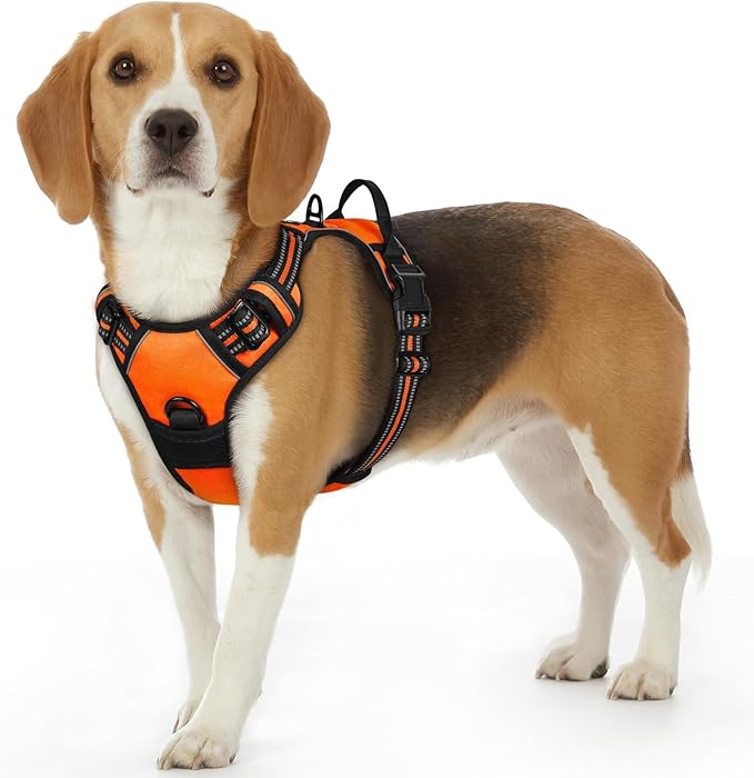 Eagloo Dog Harness Small Sized Dog, No Pull Service Vest with Reflective Strips and Control Handle, Adjustable and Comfortable for Easy Walking, No Choke Pet Harness with 2 Metal Rings, Orange, S-Mewly Pet