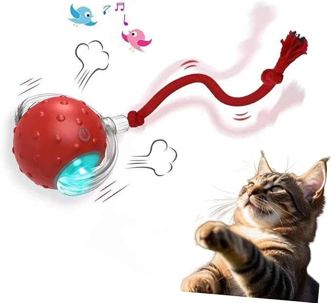 Interactive Cat Toy Ball – Automatic Electric Rolling Ball with Chirping Bird Sounds, Motion-Activated Indoor Toy for Kittens and Cats, Fun Exercise Play (Red)-Mewly Pet
