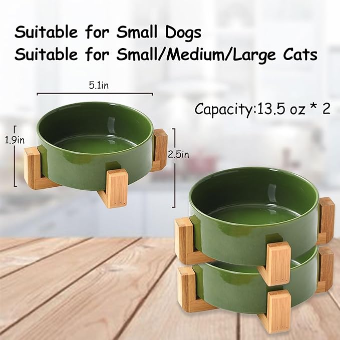 Petygooing Ceramic Cat Dog Bowl Set with Stand,Small Dog Bowls, Pet Food and Water Dish, Anti Slip Set of 2 Cat Bowls- Cute Modern Pet Food Bowl Small Size Dog (13.5OZ/5.1 in) Rust Green-Mewly Pet