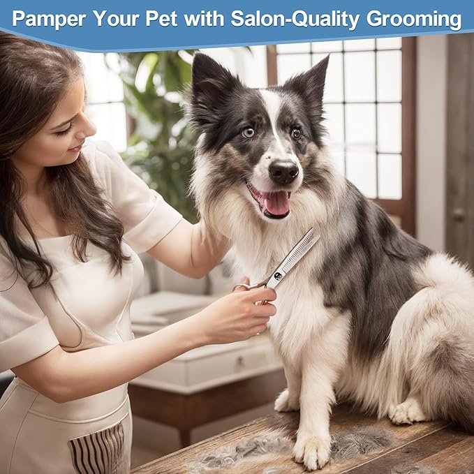 Gimars Titanium Coated Professional 6 in 1 4CR Stainless Steel Dog Grooming Scissors with Safety Round Tip, Heavy Duty Pet Grooming Scissor for Dogs, Cats and Other Animals-Mewly Pet