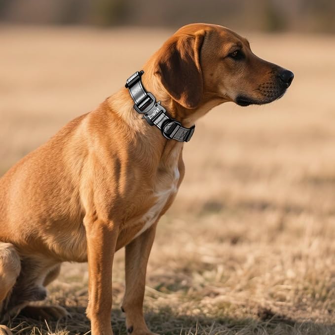 AirTag Dog Collar - Leather Dog Collar with Airtag Holder | IP68 Waterproof AirTag Holder with Metal Buckle, Comfortable GPS Dog Collars Tracker for Medium Large Dogs (Black, M)-Mewly Pet