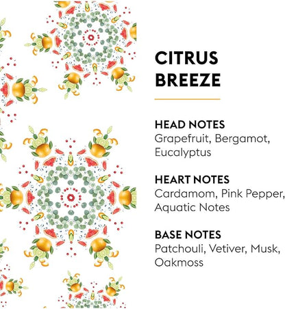 Maison Berger - Citrus Breeze Refill Oil for Lampe Berger Diffusers - Luxury Air Freshener with Fresh Cut Grass, Lemon Zest, Tea Leaves & Sandalwood - 16.9 Fl Oz (500ml)