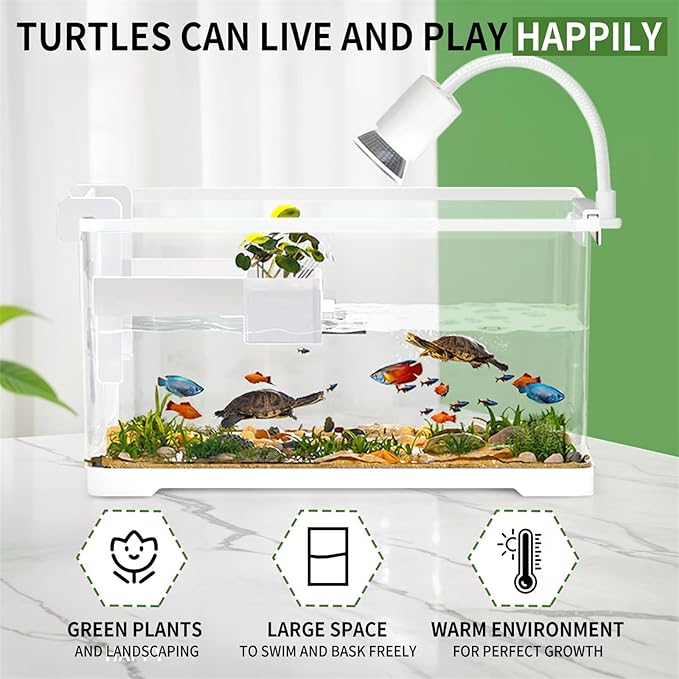 (Tank + Light + Filter + Filter Balls) Turtle Tank Kit, Turtle Tank Starter Kit,Bottom Drainage, Multi-Function Areas for Turtles, Crabs,Fishes, Amphibians,Reptiles. (15.75 x 8.64 x 8.64 Inch)-Mewly Pet
