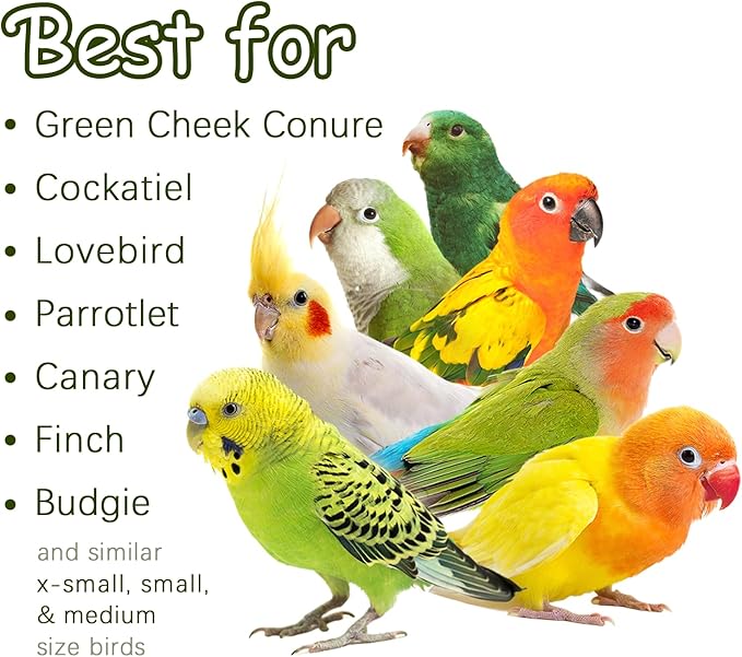 5-Pack Natural Flower Bird Toys – Foraging & Chewing Toys for Parakeets, Cockatiels, Conures & Small Birds – No Plastic, All-Natural Materials-Mewly Pet