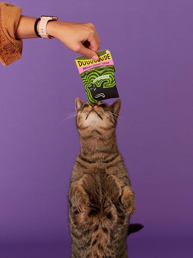Blue Q Duuuuuuude Catnip Cat Toy. Premium Organic Catnip Grown in The USA, 100% Cotton Pouches, Kitty Graphics Sure to Delight Every Cat-Keeper.-Mewly Pet