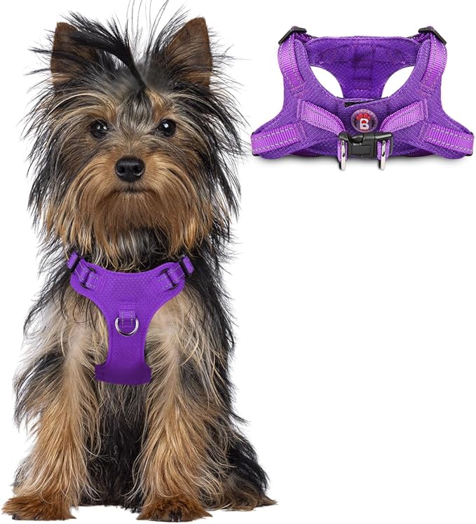 Dog Harness Step in Dog Vest Harness, Reflective Adjustable Puppy No Pull Harness Breathable Soft for Small and Medium Dogs Cats, Purple, XXS-Mewly Pet