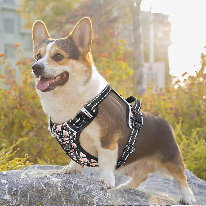 Timos Dog Harness, 3 Snap Buckles No-Pull Soft Padded Dog Vest with 2 Metal Leash Clips,Adjustable Reflective No Choke Pet Harness with Easy Control Handle for Small Dogs,Black Rose,S-Mewly Pet