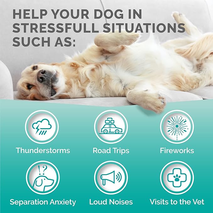 PREMIUM CARE Hemp Calming Chews for Dogs, Made in USA - Helps with Dog Anxiety, Separation, Barking, Stress Relief, Thunderstorms and More, 9.3 oz (264g), 120 Count-Mewly Pet