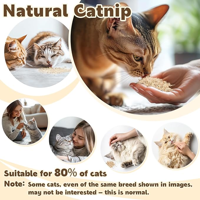 80PCS Catnip - Cat Nip for Cats Natural Dried Catnip Treats Premium Cat Nip Perfect for Toys, Training Rewards, Stress Relief, Freshly Harvested Bag Bulk Pack,2.8OZ-Mewly Pet