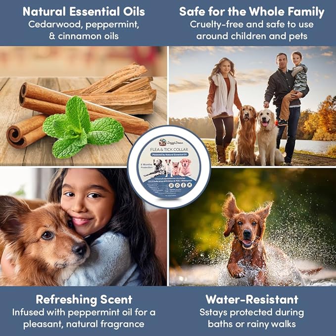 Flea and Tick Collar for Dogs, Cats – Natural Essential Oils – Long-Lasting 8 Month Protection – Waterproof, Adjustable – Safe for Puppies, Kittens, Sensitive Skin-Mewly Pet