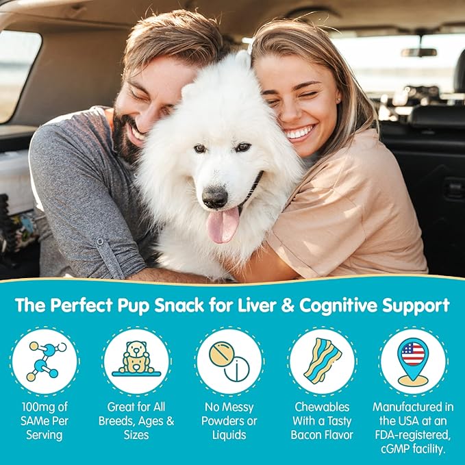 Wanderfound Pets Same 100 Liver Support for Dogs - Same S-Adenosyl-L-Methionine Hepatic Supplement for Liver & Brain Support - Bacon Flavored Sam E, Manufactured in The USA - 30 Chewable Tablets-Mewly Pet