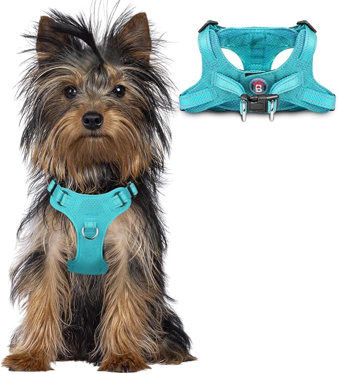 Dog Harness Step in Dog Vest Harness, Reflective Adjustable Puppy No Pull Harness Breathable Soft for Small and Medium Dogs Cats, Ocean Blue, XXS-Mewly Pet