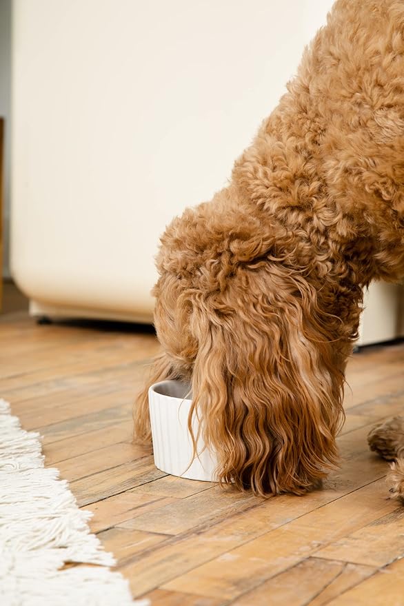 Waggo Ripple Ceramic Dog Bowl for Medium and Large Breeds - Modern with Matte Finish, Heavyweight Durable Pet Food and Water Dish Crock, Dishwasher Safe (Small, White)-Mewly Pet