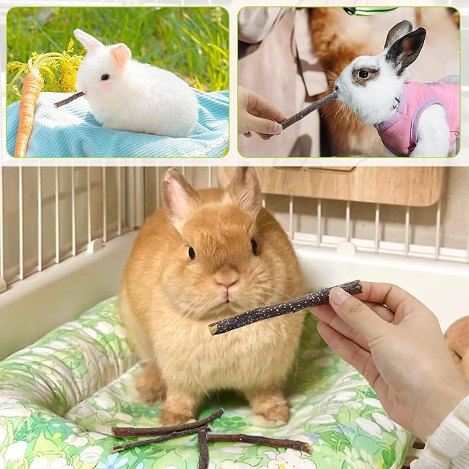 600g Small Apple Sticks Animals Molar Wood Treats Toys for Rabbits Chinchillas Guinea Pig Hamster Gerbil Parrot Bunny Chew Stick Toys Treats, 21.2 OZ-Mewly Pet