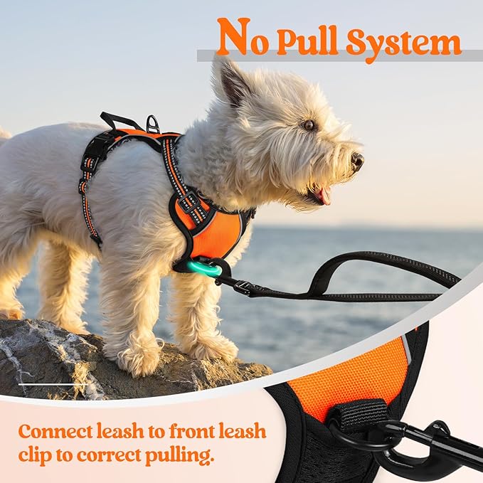rabbitgoo Dog Harness No Pull with 2 Leash Clips, Adjustable Soft Padded, Reflective Oxford No Choke Pet Vest with Easy Control Handle for Puppy, Orange,XS-Mewly Pet